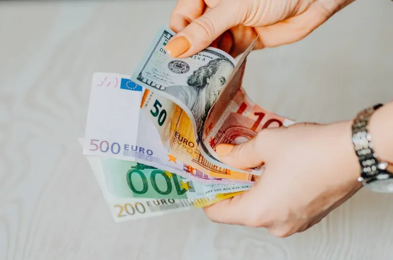 Counting euro and dollar banknotes